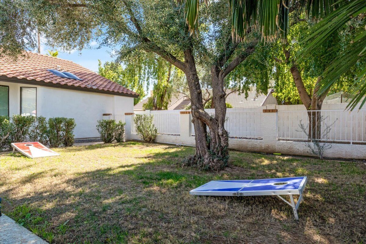 A residential backyard with a tree, a trampoline, and a house with a tiled roof.