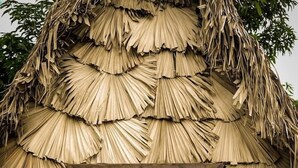 Une hutte au toit de chaume avec une fenêtre en bois.