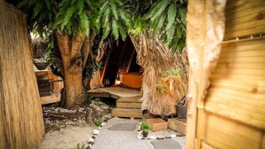 Un sentier bordé de plantes dans un jardin tropical, agrémenté d’une structure en bois, de marches en pierre et de plantes en pot.