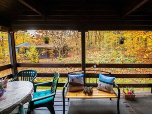 Outdoor dining - Stunning private villa for 6 people with WIFI, TV and patio (Bad Arolsen)