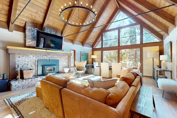 TV, fireplace, books