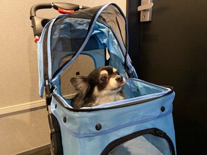Pet-friendly