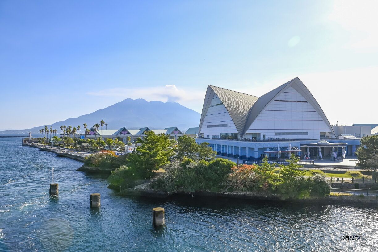 A waterfront building with a unique triangular roof, surrounded by lush greenery and palm trees, with a mountain in the background.