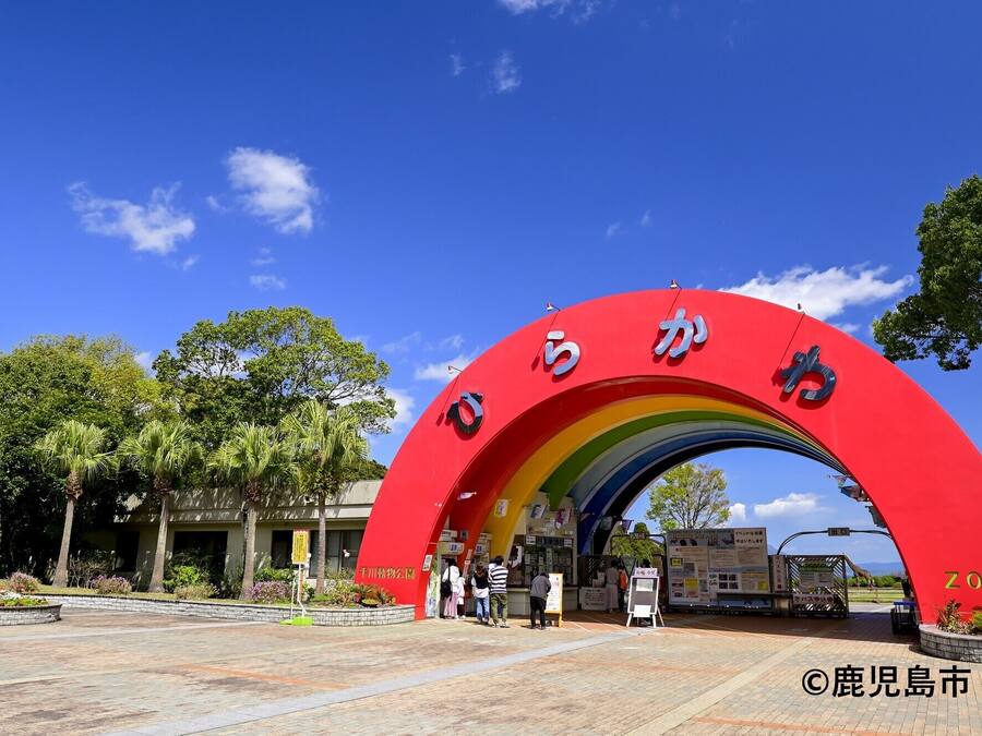 Un arco rojo con caracteres japoneses y la palabra "ZOO" en la entrada.