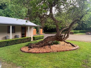 Exterior - Mulberry Cottage - with spa and fireplace (The Patch)