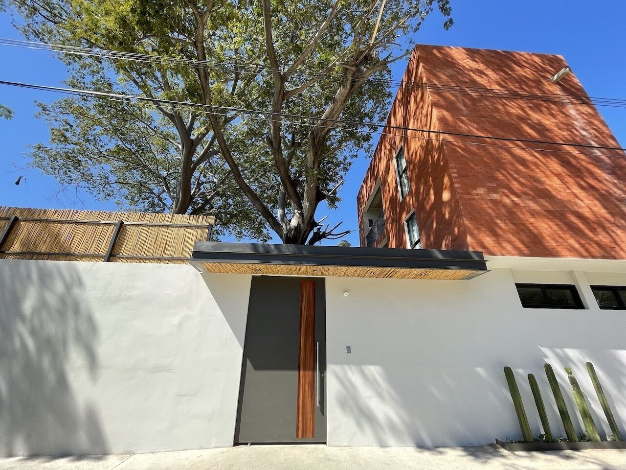 A modern building with a white facade, a wooden door, and a large tree in front.