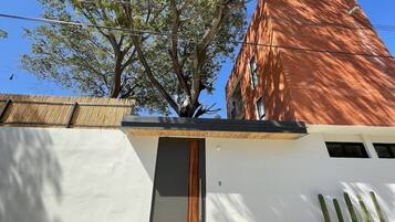 Un edificio moderno con fachada blanca, puerta de madera y un gran árbol en frente.