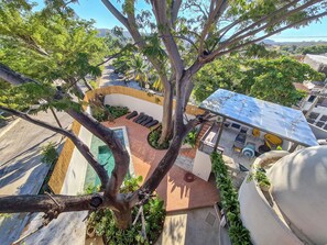 Jardín