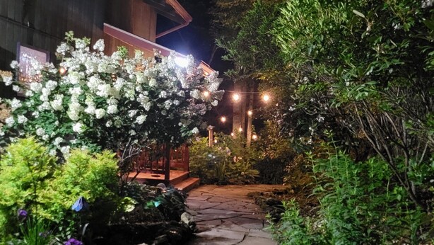 En stenkølle fører hen til en træbygning med en veranda, omgivet af frodig vegetation og hvide blomsterplanter.