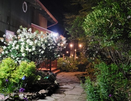 Mountain Top Cabin with a View that is Centrally Located in Western Carolina.