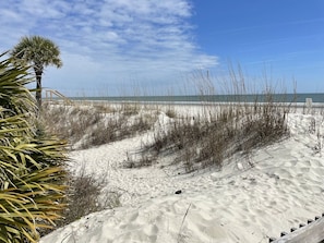 Une plage de sable avec une végétation clairsemée et un palmier.