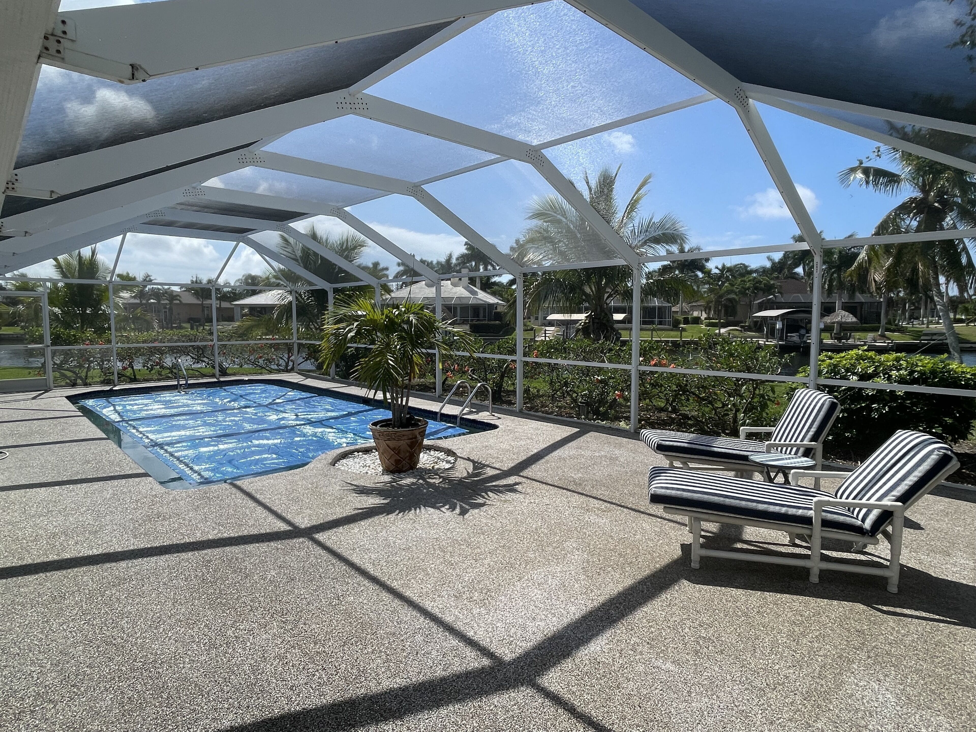 A covered outdoor swimming pool with lounge chairs and a potted plant.