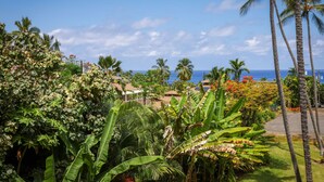 Un paysage tropical avec des palmiers, des bananiers et une vue sur l’océan.