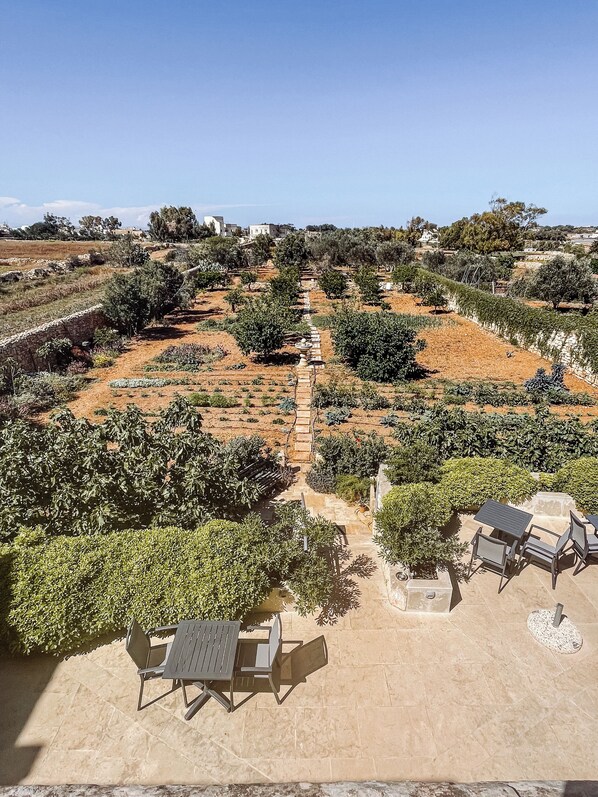 Garden view - Mulberries (Zabbar)