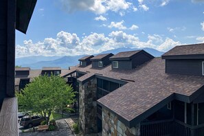 Exterior - Mountain-view ski condo with free attraction tickets, fireplace, & two hot tubs (Gatlinburg)