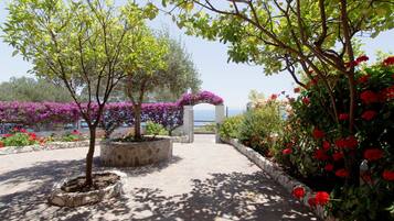 Parco della struttura