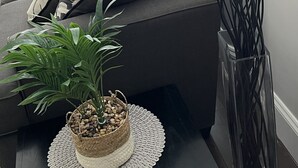 Una sala de estar moderna con un sofá grisáceo, cojines estampados, una planta en maceta y una alta jarra negra.