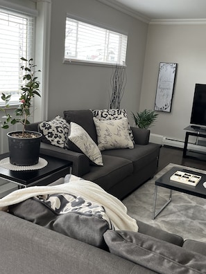 Un salon moderne avec un canapé gris, des coussins aux motifs noir et blanc, une plante en pot et un téléviseur fixé au mur.