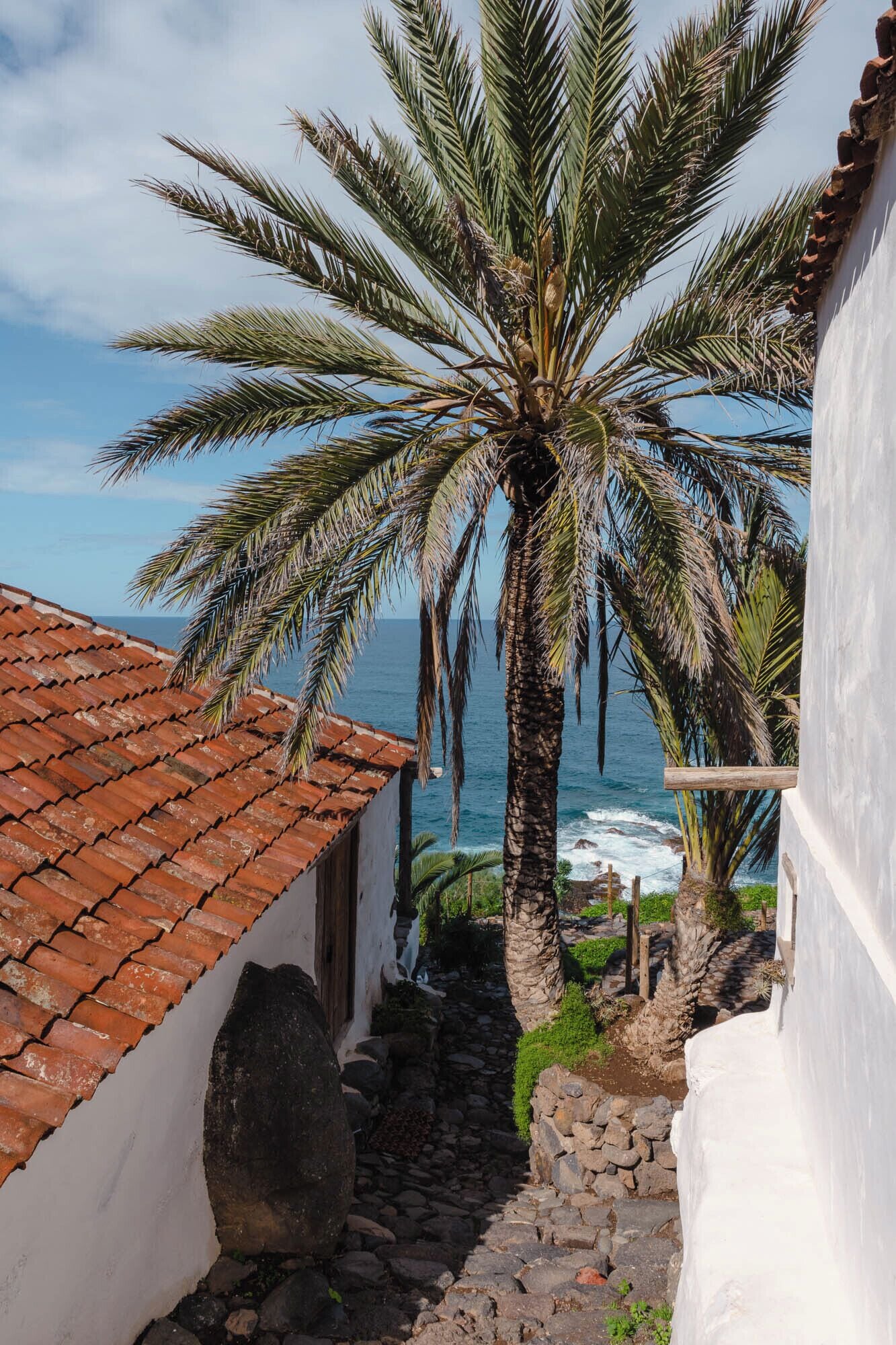 Foto - Hacienda El Terrero