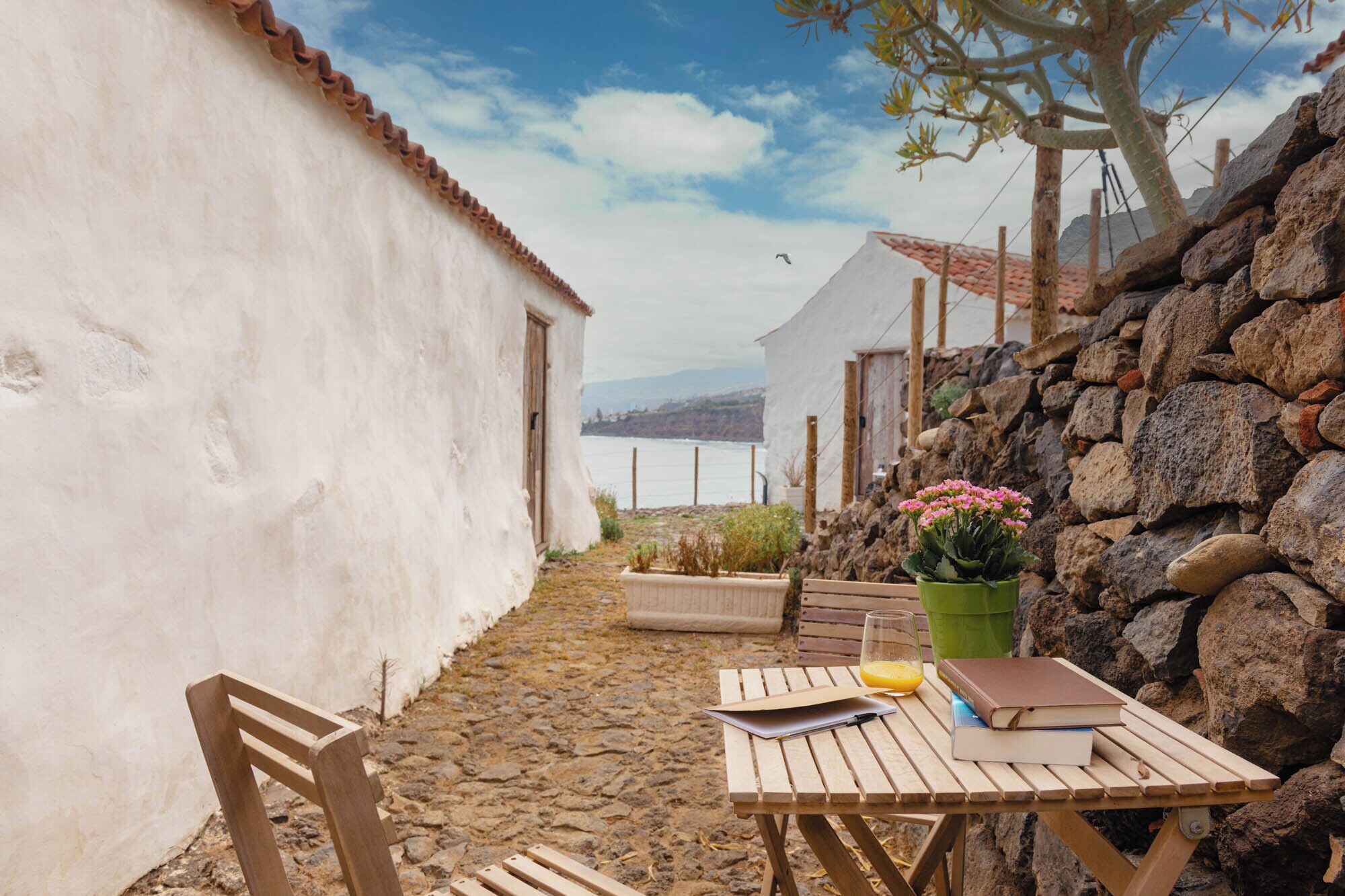 Un espacio de estar al aire libre de estilo rústico con una mesa, sillas y una planta en maceta.