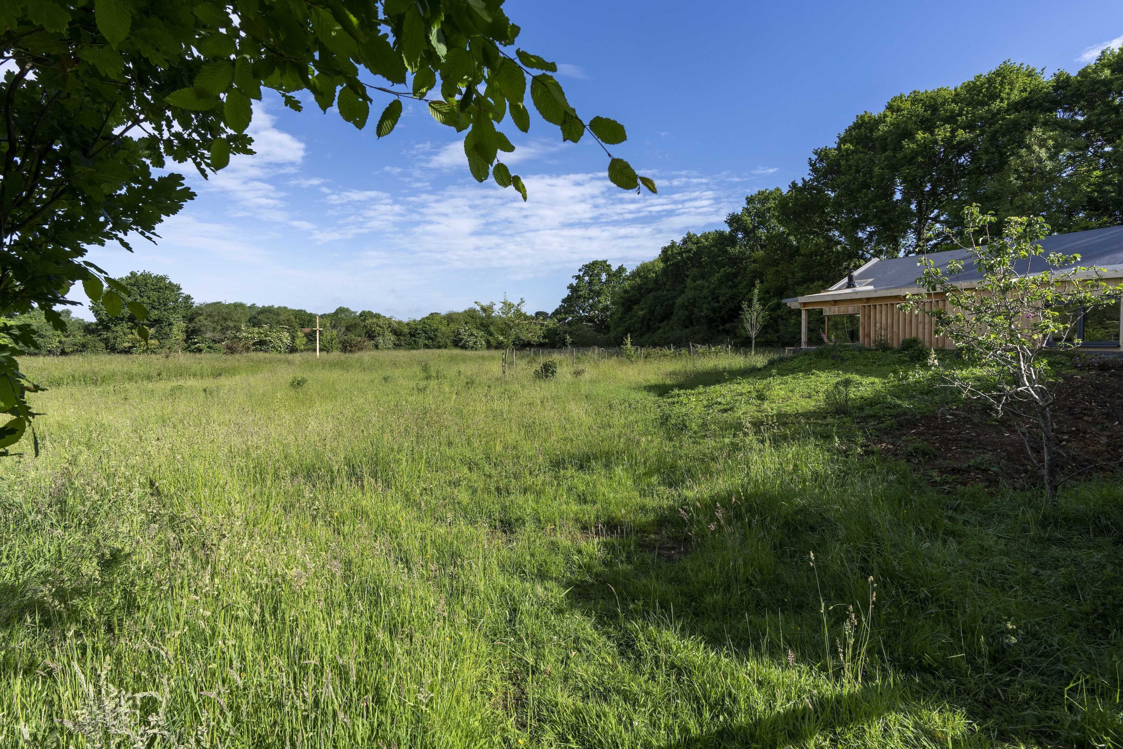 A grassy field with a wooden building and trees in the background.