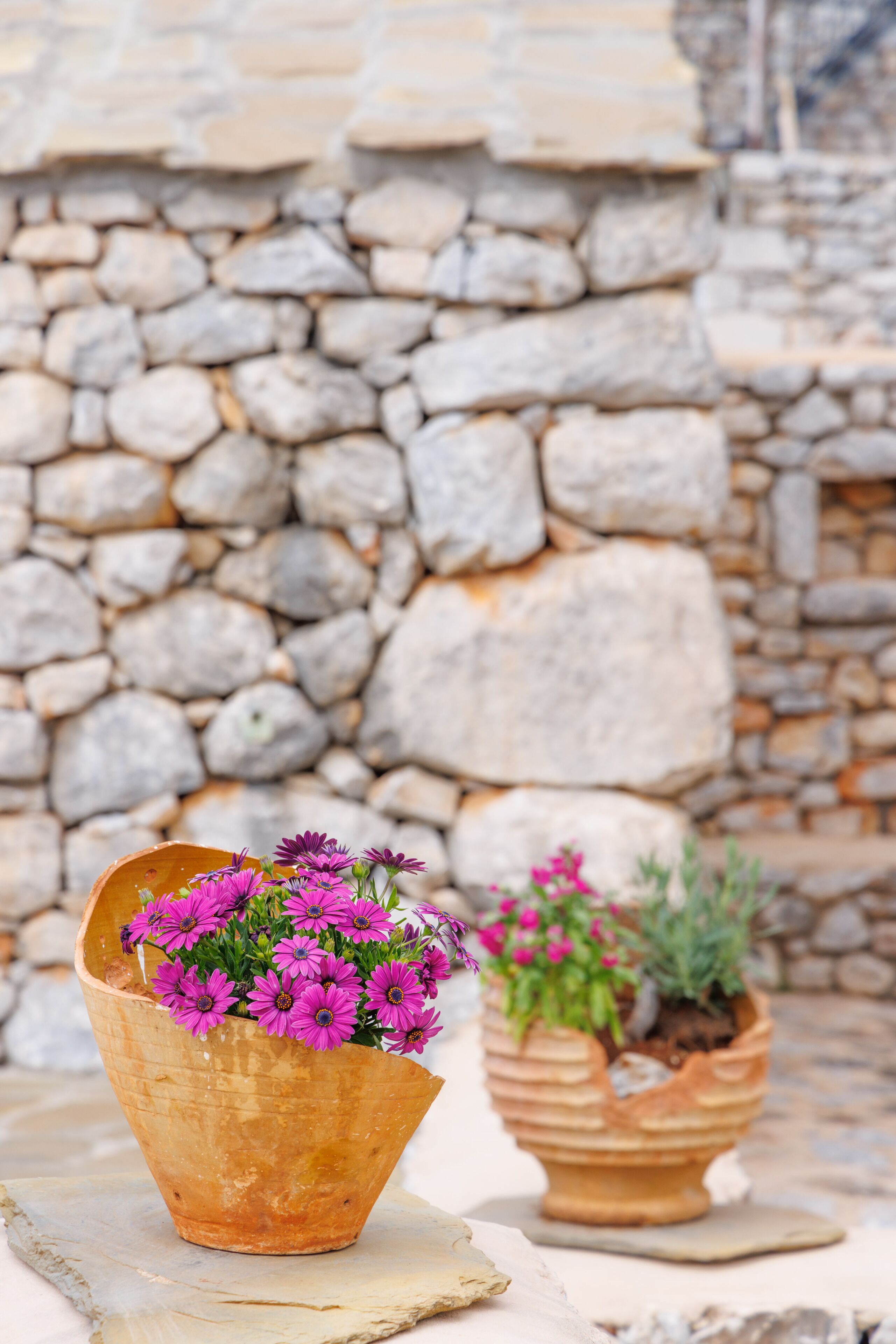 Dos macetas de terracota con flores sobre una superficie de piedra.