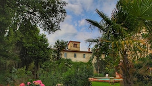 Una casa con jardín, piscina y palmera.