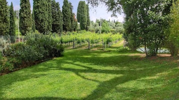 Parco della struttura