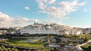 Un pueblo costero con un complejo de edificios blancos destacado, cielo despejado y campos verdes.