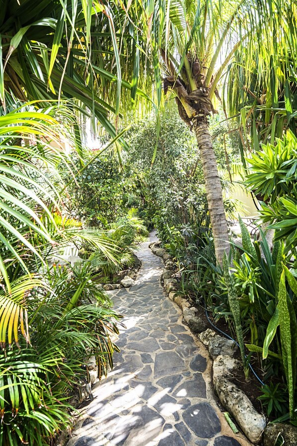 Property grounds - Urban Island Paradise (Willemstad)