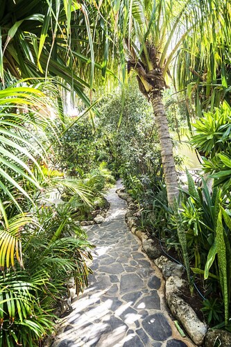 Urban Island Paradise