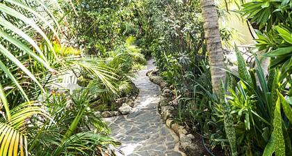 Urban Island Paradise