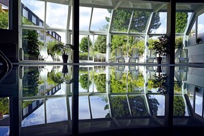 Un invernadero con suelo de vidrio, sillas y plantas en macetas.