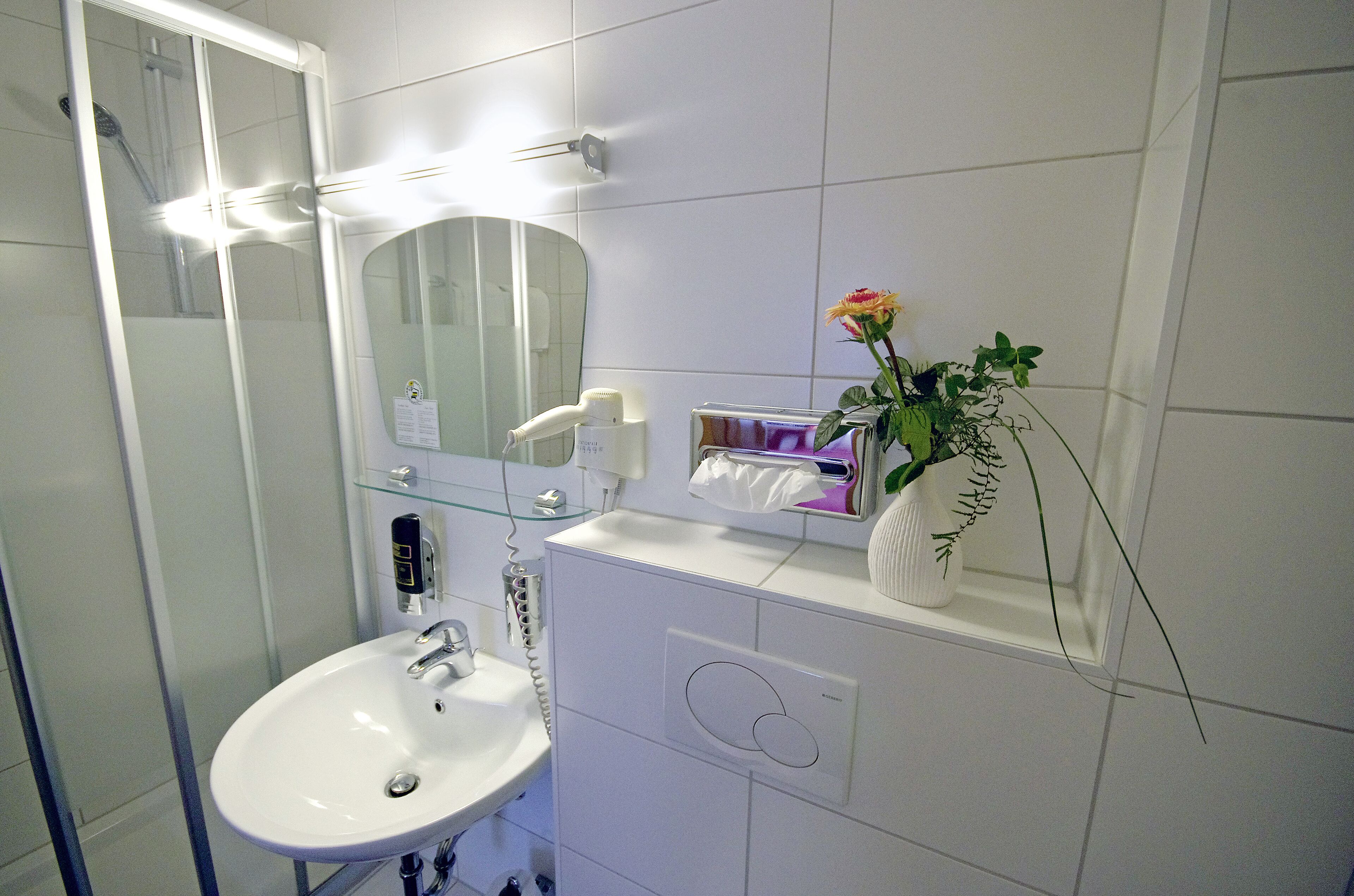 Bany amb un rentamig blanc, un mirall, una cabina de dutxa de vidre, un dispensador de tovalloles i una planta en test.