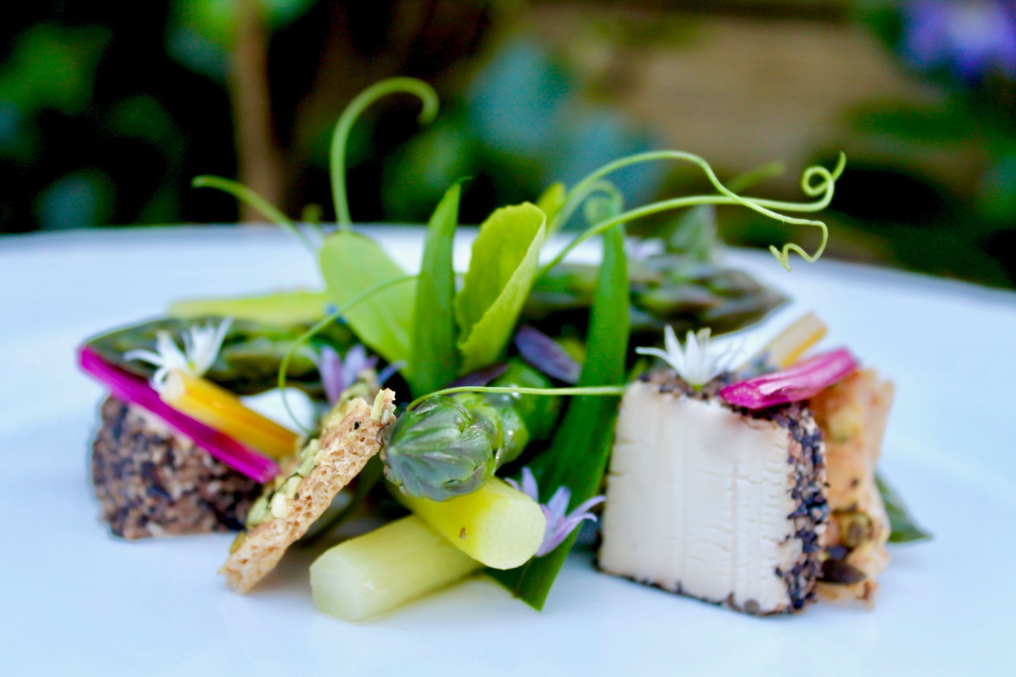 Un plato con diversos alimentos, incluyendo un trozo de pescado blanco, hojas verdes y otras guarniciones.