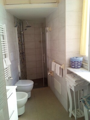 Shower, hair dryer, bidet, towels
