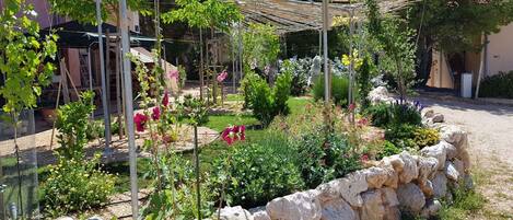 المنطقة المحيطة بالمنشأة