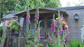 Uitzicht vanuit de kamer