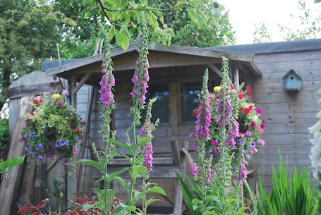 Ausblick vom Zimmer. Hillcroft Luxury Bed & Breakfast