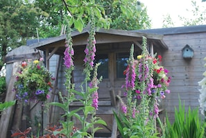 Vistas desde la habitación
