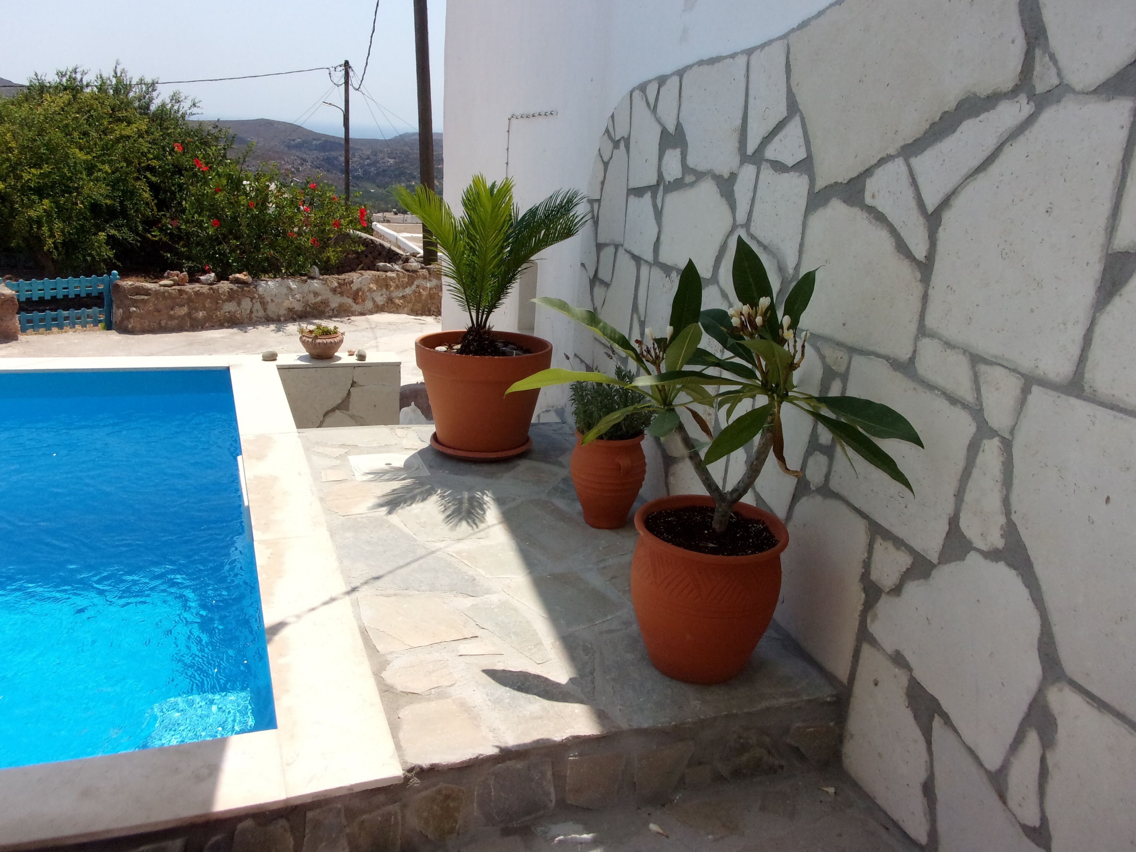A swimming pool with a stone wall and potted plants.
