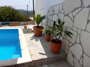 Property grounds - 1 bedroom apartment in zakros crete (Zakros crete)