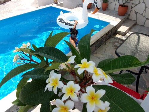 1 bedroom apartment in zakros crete