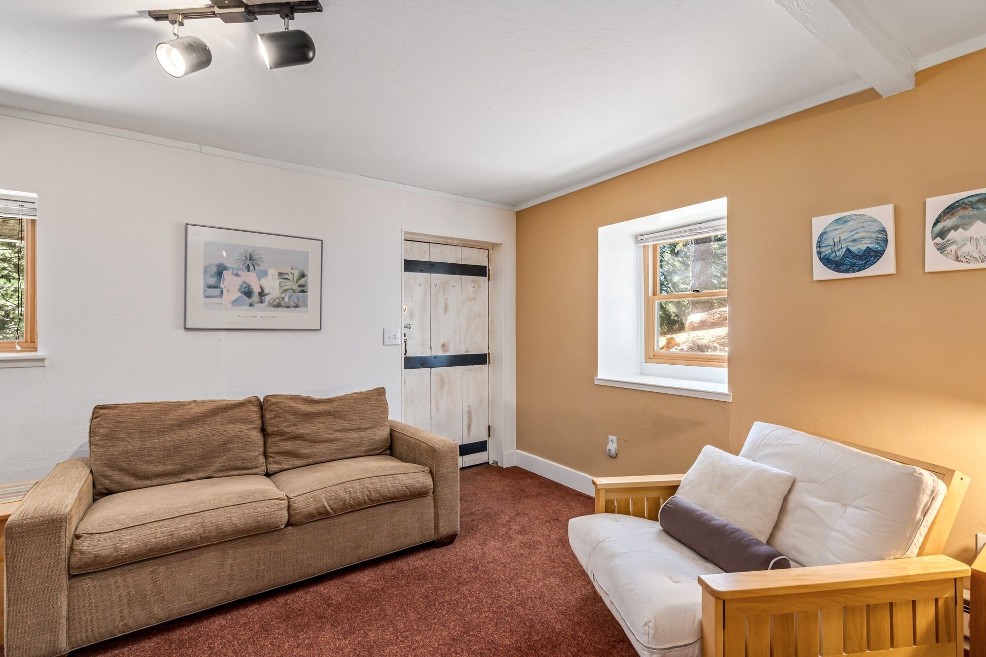 A room with a brown sofa, a white sofa, a wooden bench, and a door with black horizontal stripes. There are two windows with white frames, and a ceiling light fixture.