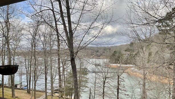 Une vue depuis un balcon donnant sur un lac, avec des arbres et un quai.