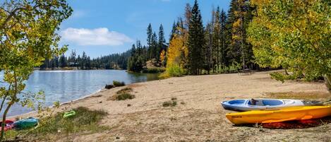 Una playa junto al lago con kayaks y una mesa de picnic.