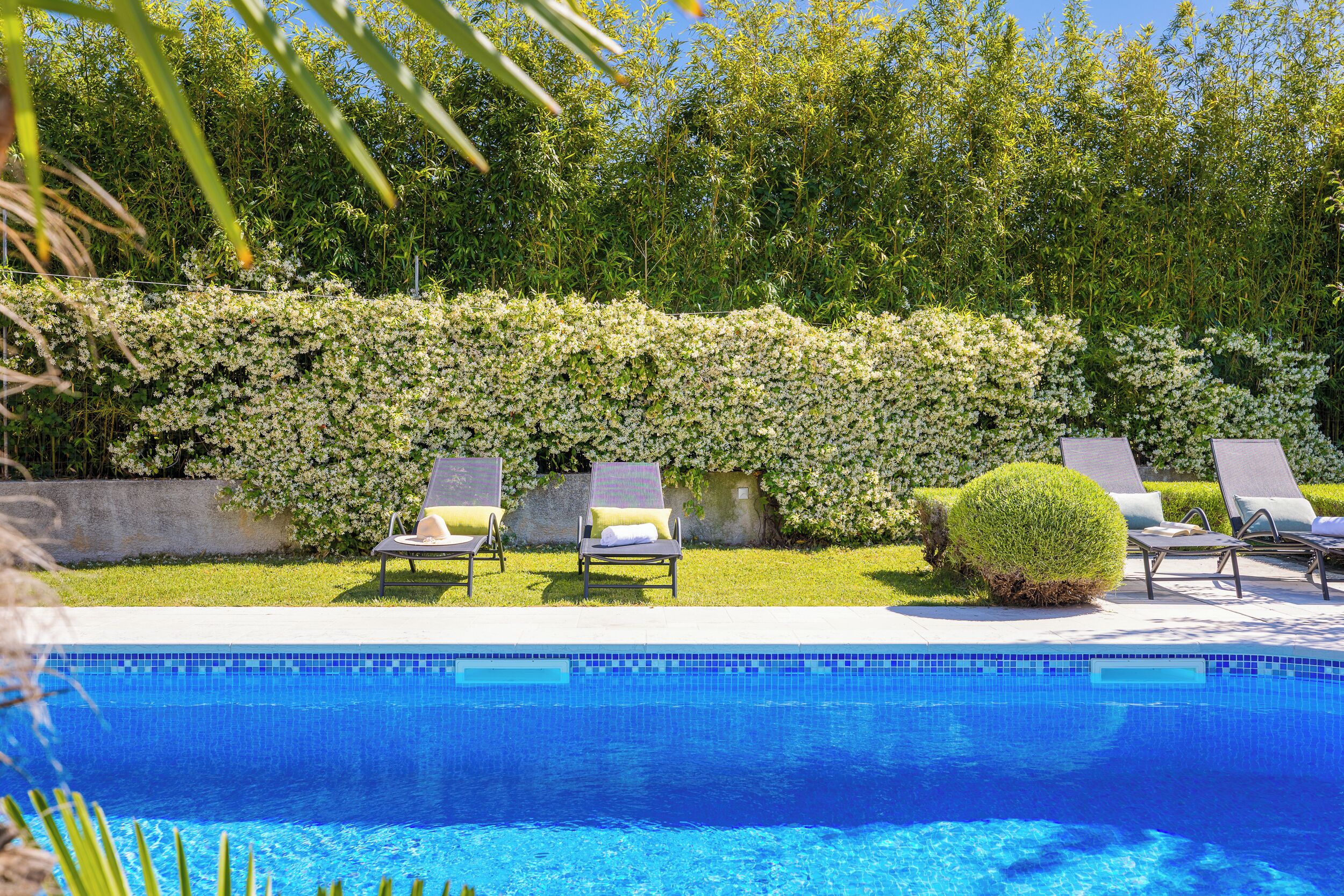 A swimming pool with lounge chairs and a hedge.