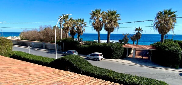 A coastal road with palm trees, a clear blue sky, and a view of the sea.