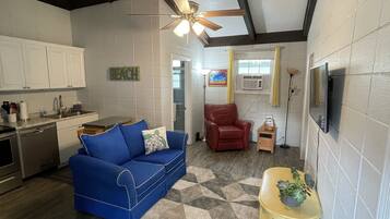 Smart TV, fireplace, books