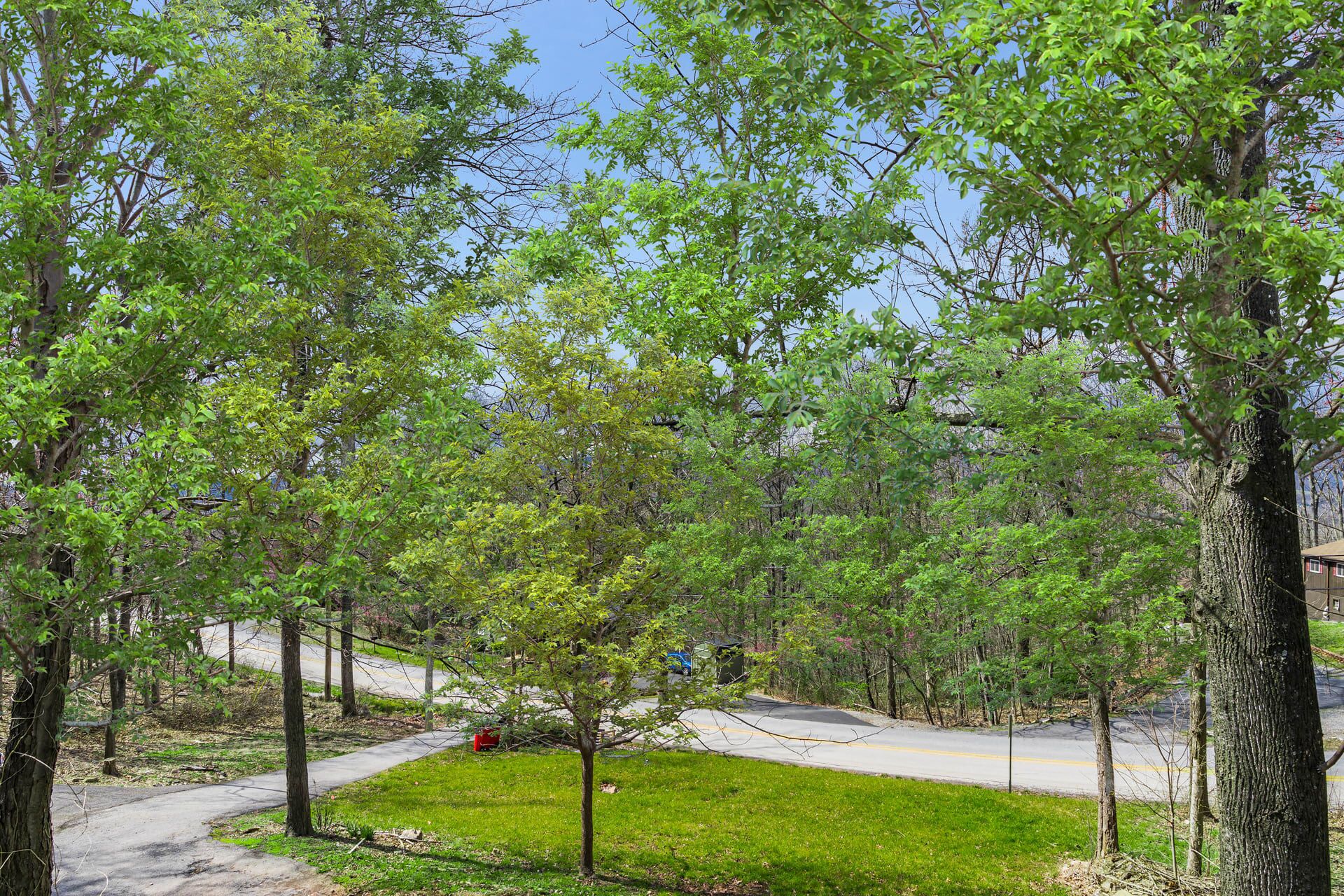 A park with a paved path, green grass, and trees.